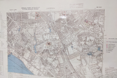 PXL_20230304_132021907.MP_